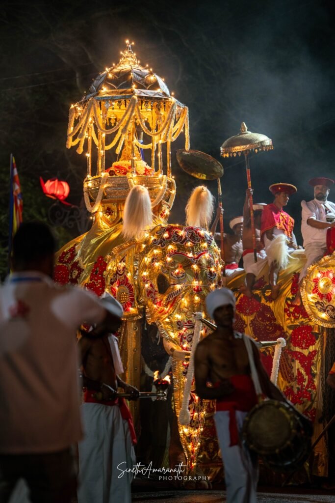 Caparisoned elephant adorned in traditional attire during the Kandy Esala Perahera.