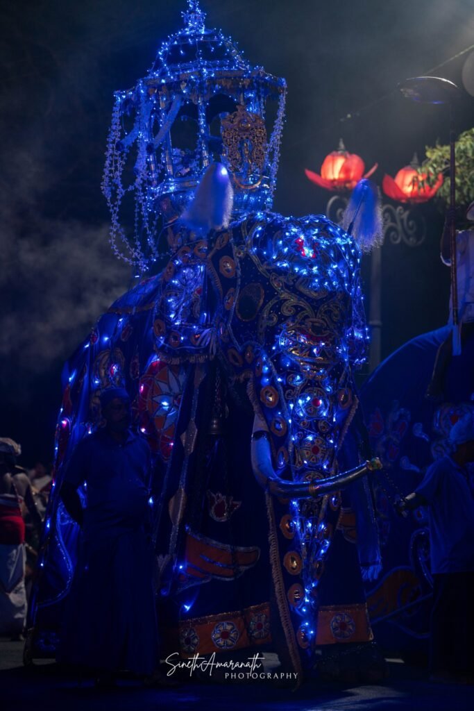 Elephant carrying a sacred relic in the Grand Randoli Perahera.