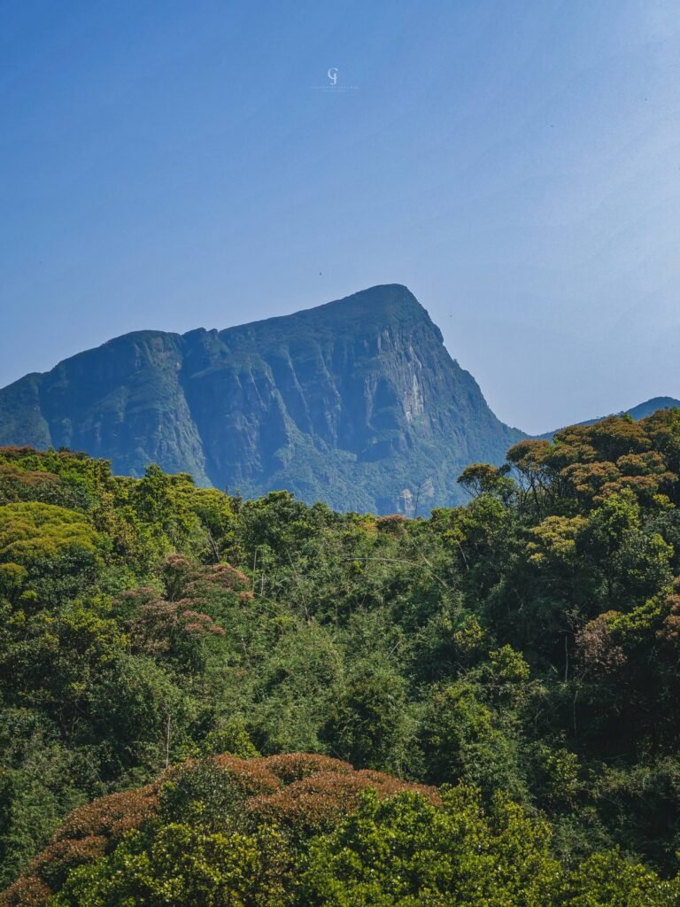 The Knuckles Mountain