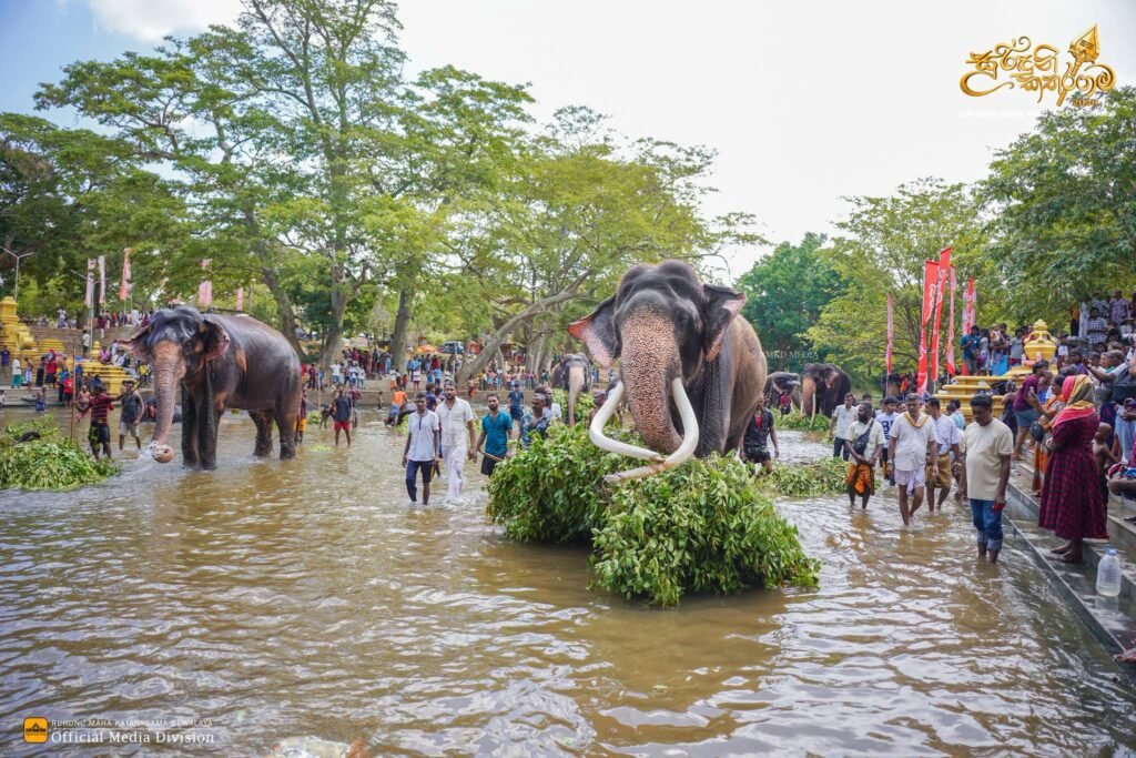 katharagama-perahara-1