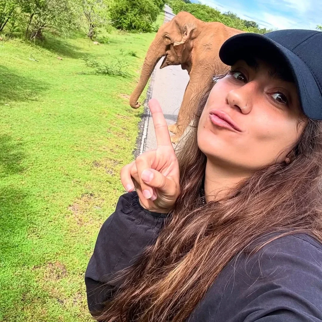 Morning safaris Yala Sri Lanka